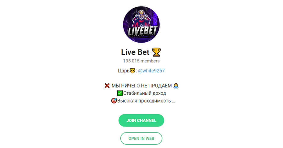 Телеграм канал Livebet