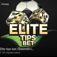 Elite tips bet