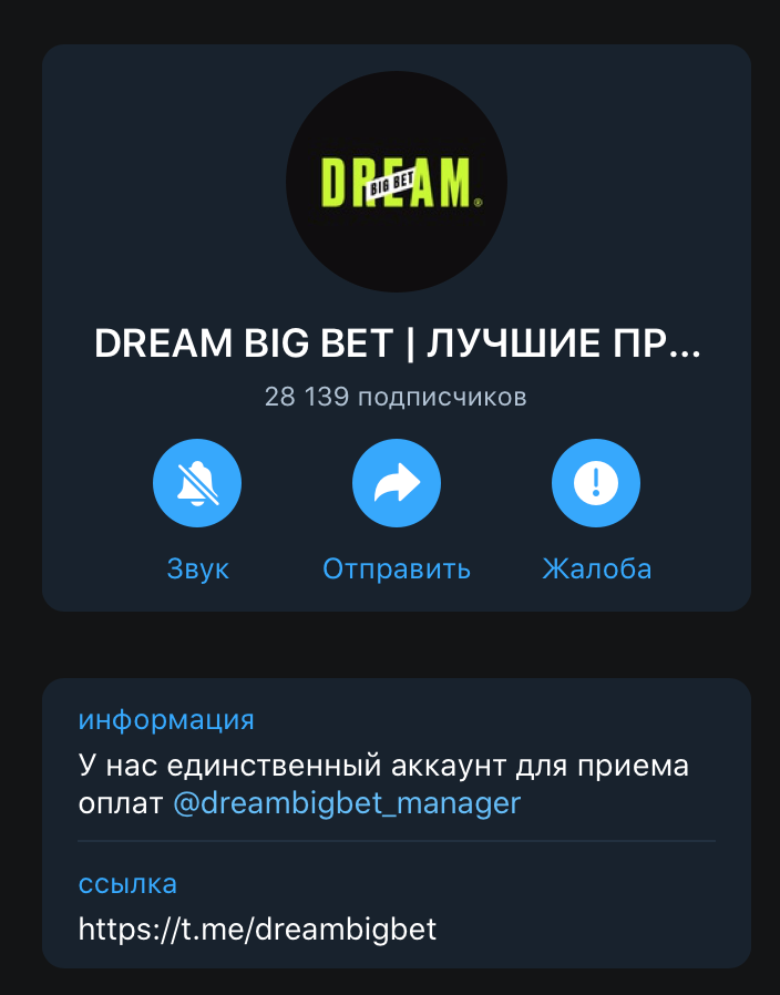 Телеграм проекта Влада Литвинова Dream Big BET