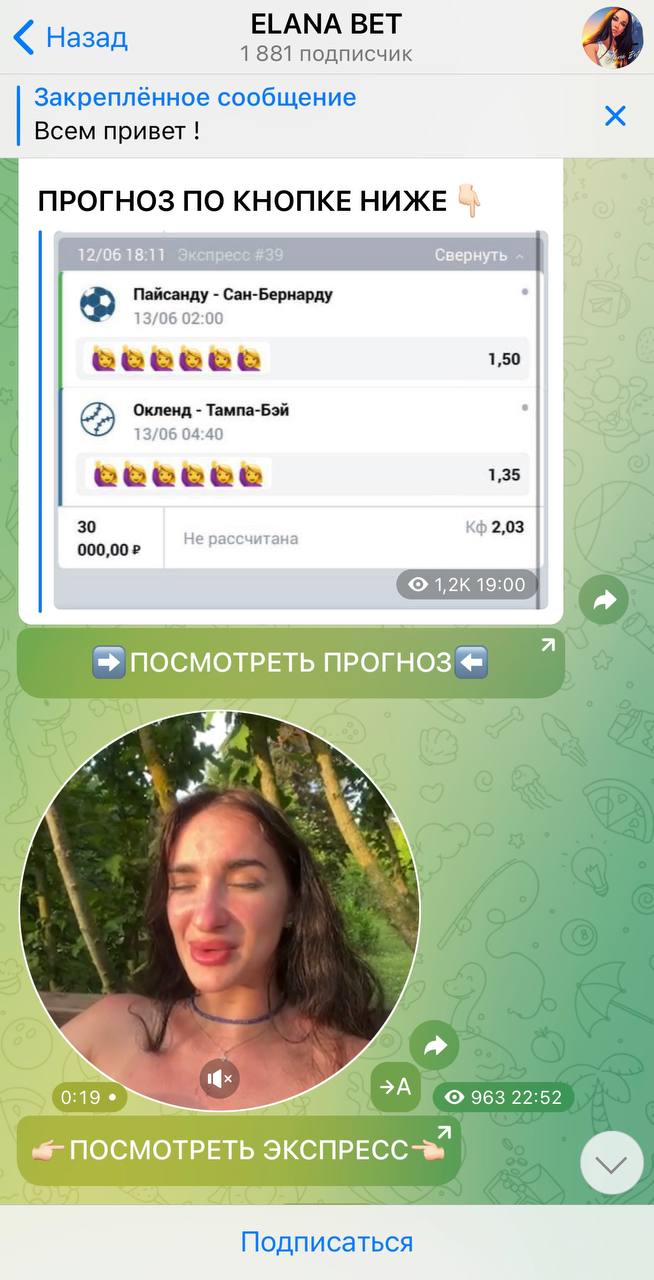 Статистика ELANA BET