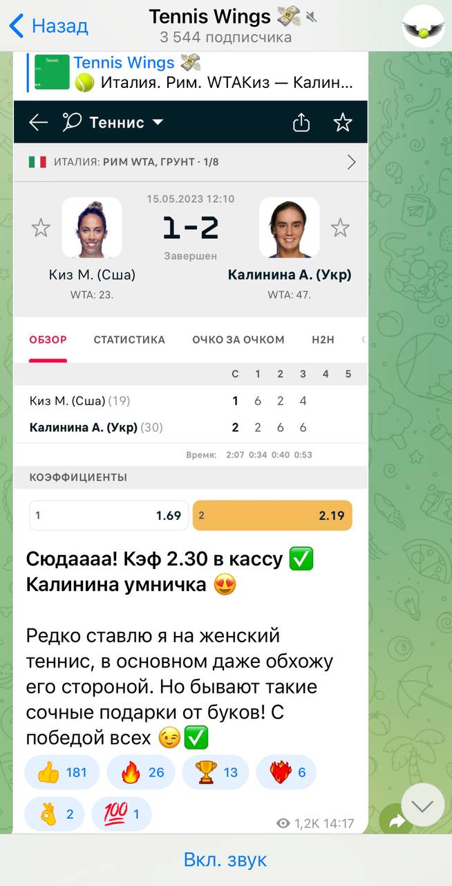 Tennis Wings прогнозы на спорт