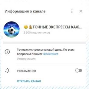 ТОЧНЫЕ ЭКСПРЕССЫ КАЖДЫЙ ДЕНЬ информация о канале