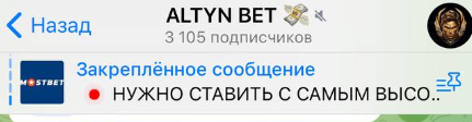 Altyn Manager